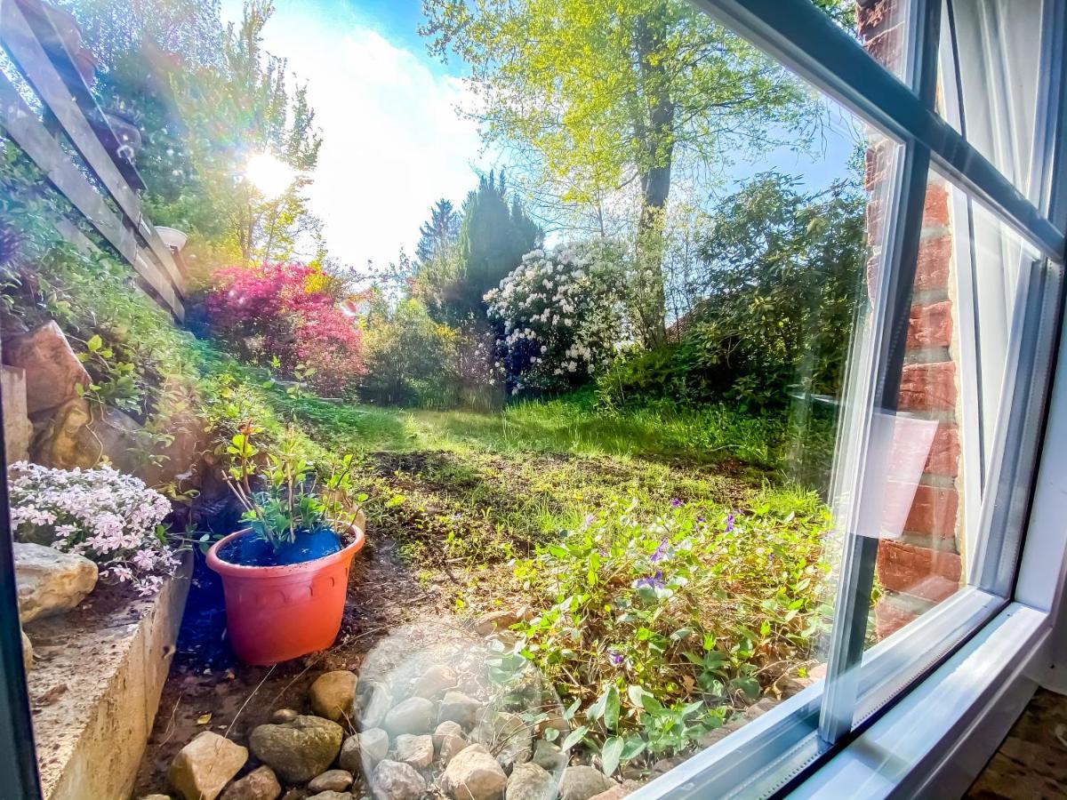 Ferienwohnung Im Sachsenwald Dassendorf Exteriér fotografie